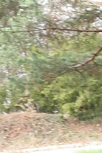 Delightful Black-haired Pisses Right Next To A Busy Road